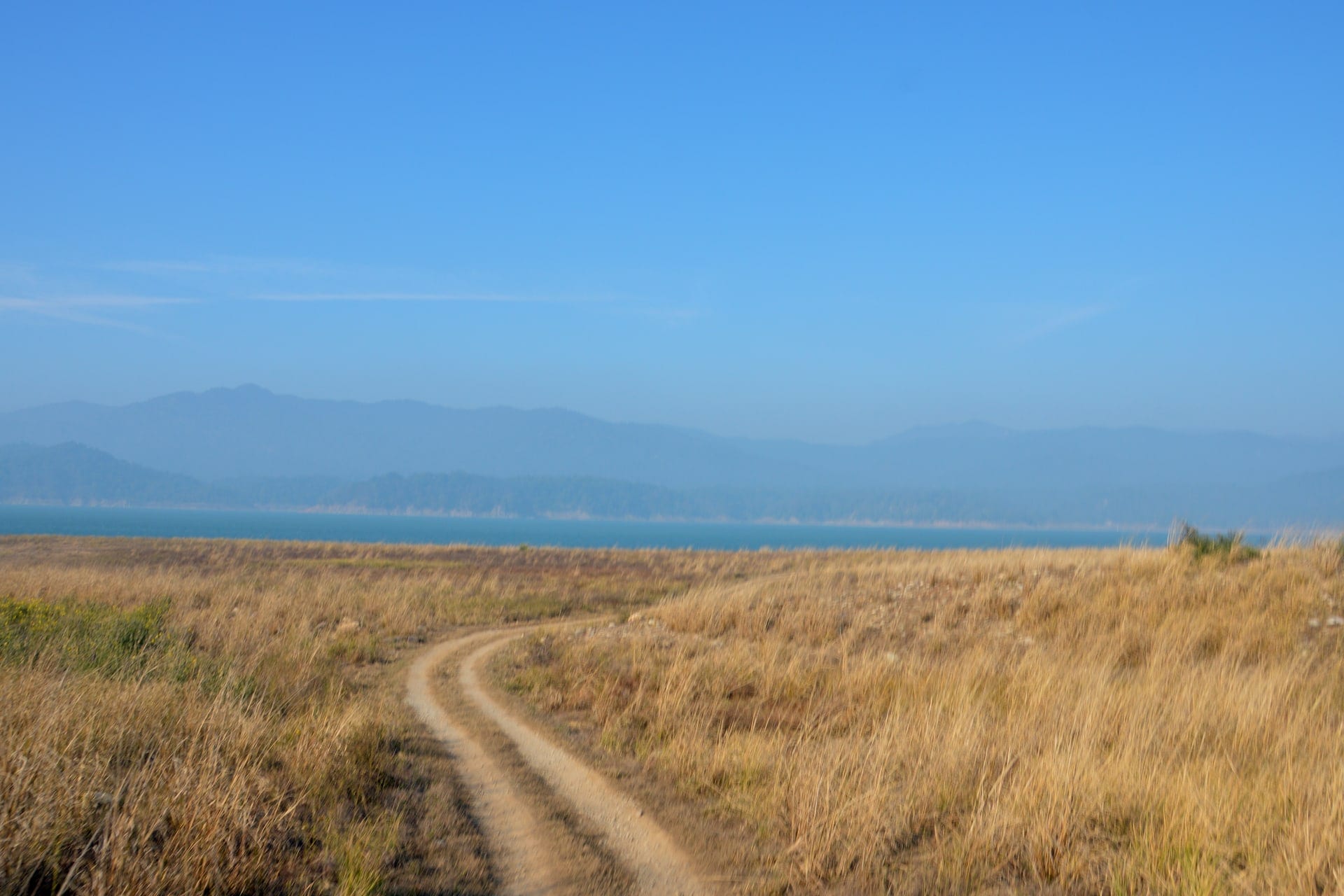 Open grasslands and forested foothills in Dhikala, Jim Corbett
